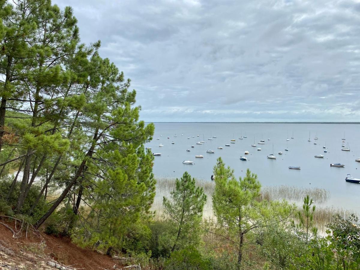 Apt Les Grands Pins, Entre Foret, Lac Et Ocean Carcans Exterior photo